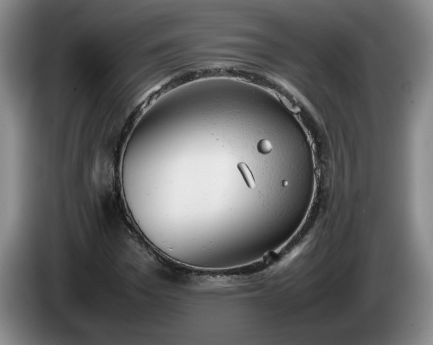 X0000085010969200703121518