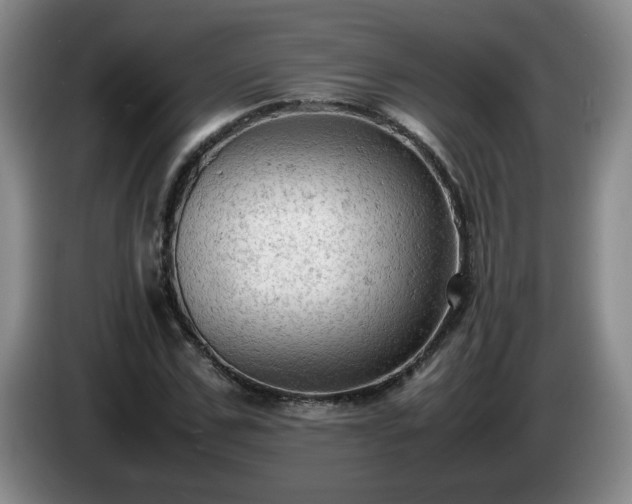 X0000085010971200703121518