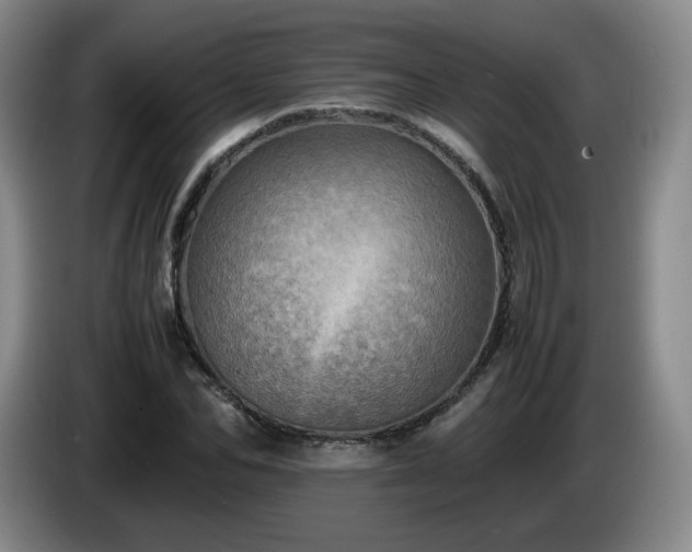 X0000085010974200703121518