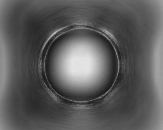 X0000085010976200703121518
