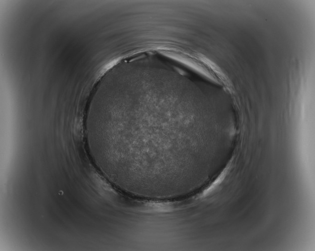 X0000085010977200703121518