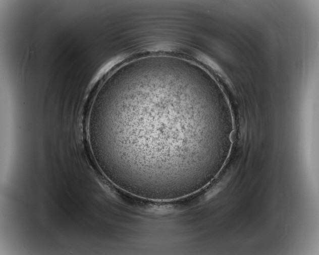 X0000085010978200703121518