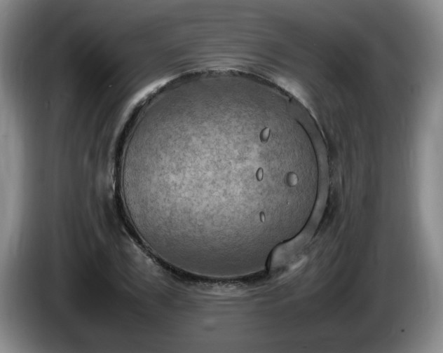 X0000085010979200703121518