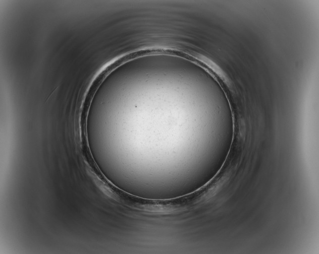 X0000085010980200703121518