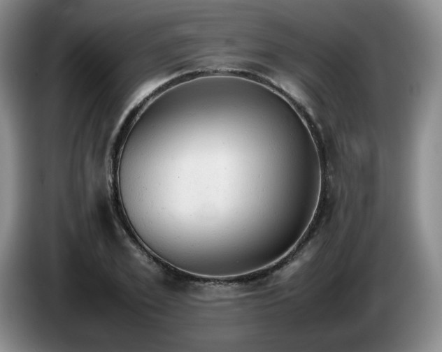 X0000085010981200703121518