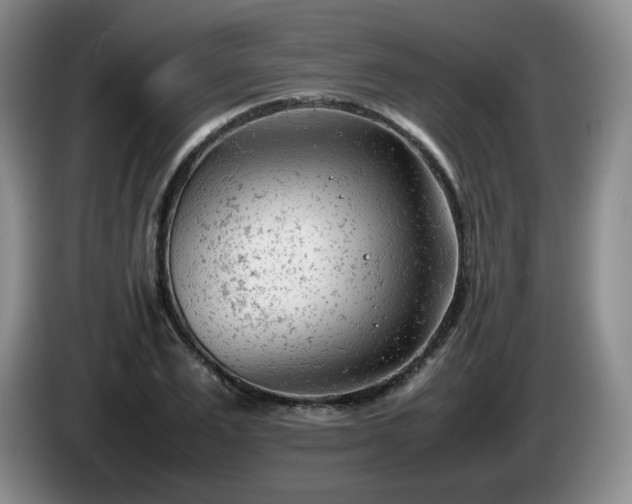 X0000085010983200703121518
