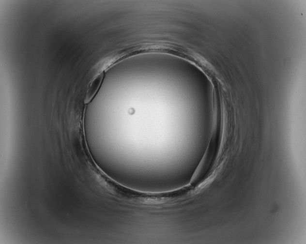 X0000085010985200703121518