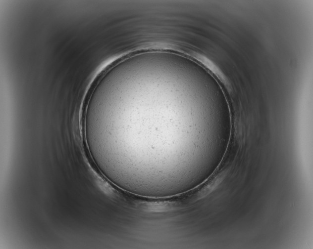 X0000085010988200703121518