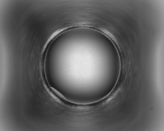 X0000085010989200703121518