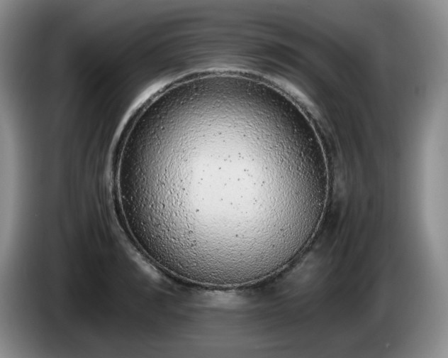 X0000085010990200703121518
