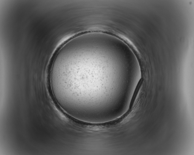 X0000085010991200703121518