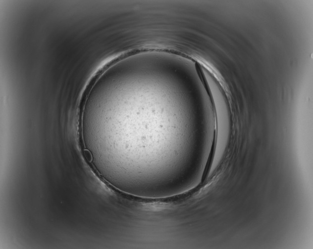 X0000085010992200703121518