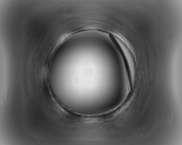 X0000085010993200703121518