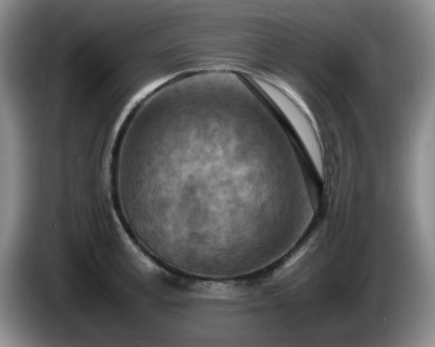 X0000085010995200703121518