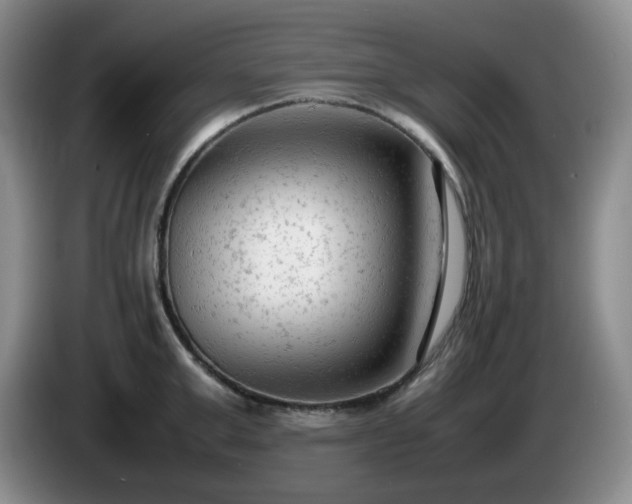 X0000085010999200703121517