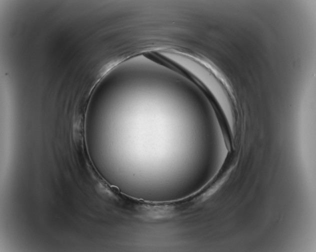 X0000085011001200703121517