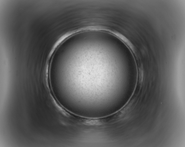 X0000085011006200703121517