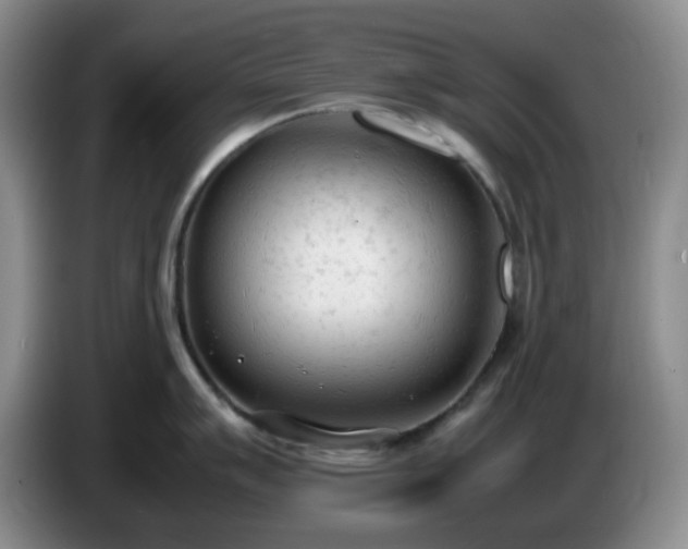 X0000085011007200703121517