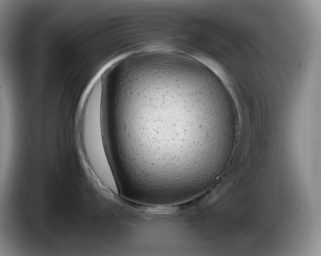 X0000085011008200703121517