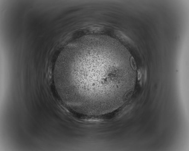 X0000085011011200703121517