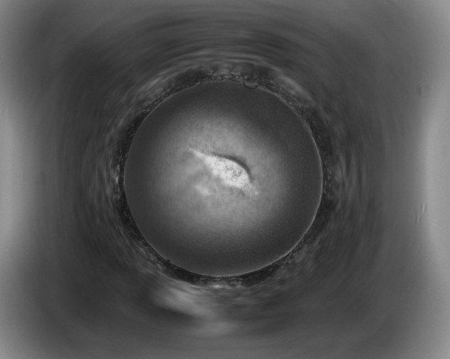 X0000085011013200703121517