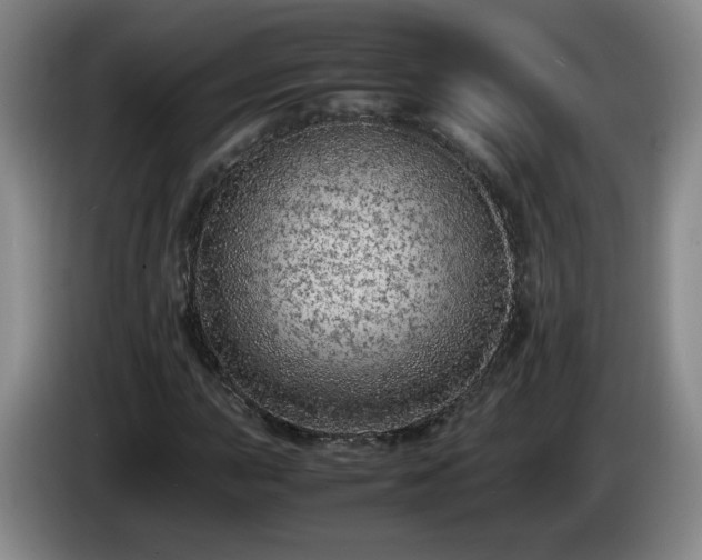 X0000085011015200703121517