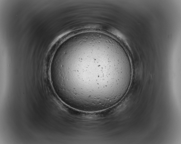 X0000085011019200703121517