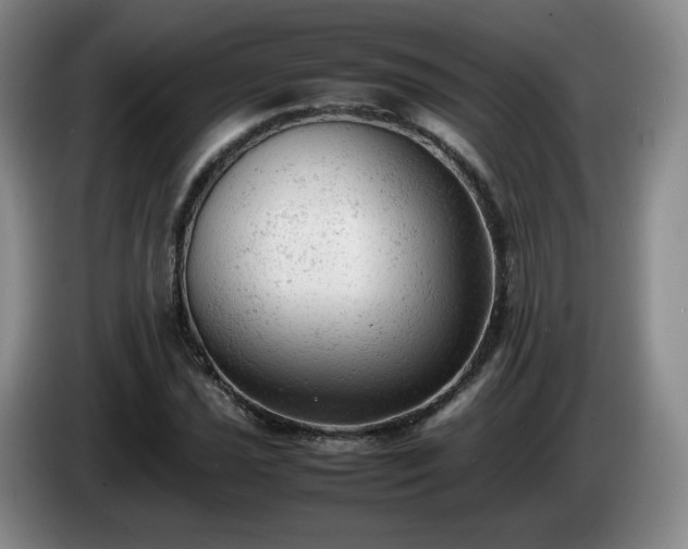 X0000085011021200703121517
