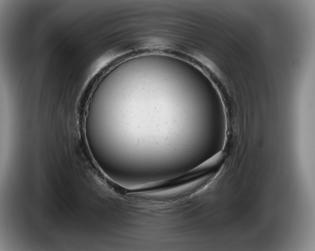 X0000085011022200703121517