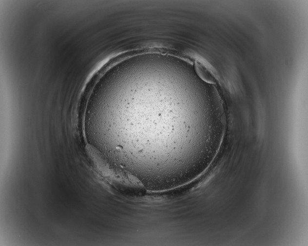 X0000085011023200703121517