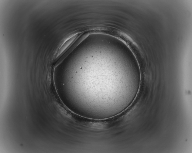 X0000085011025200703121517