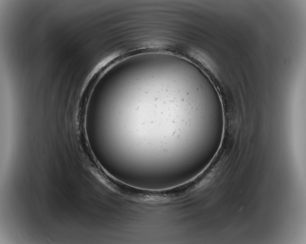 X0000085011026200703121517