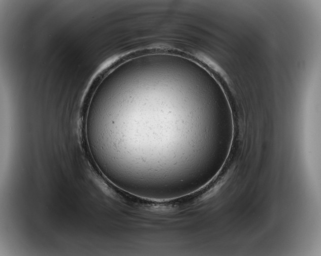 X0000085011029200703121517