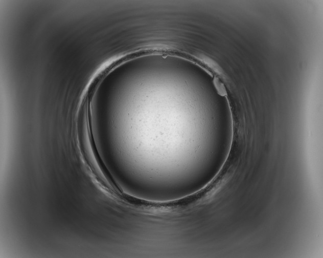 X0000085011030200703121517