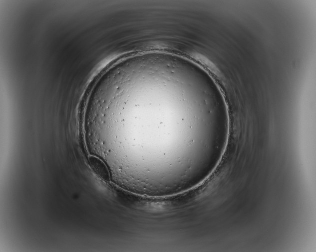 X0000085011031200703121517