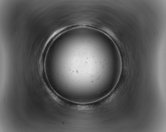 X0000085011032200703121517