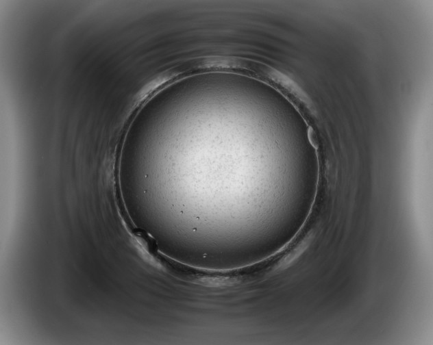 X0000085011033200703121517