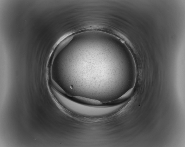 X0000085011034200703121517