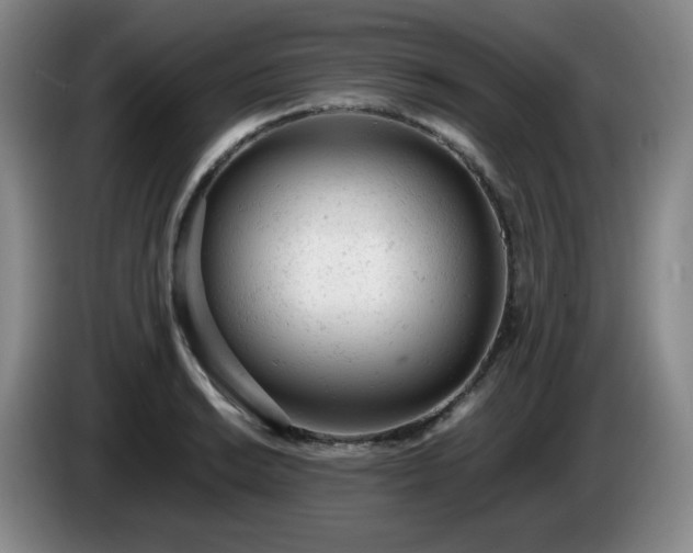 X0000085011038200703121517