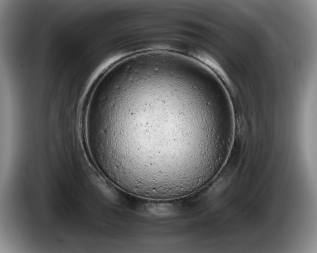 X0000085011043200703121517
