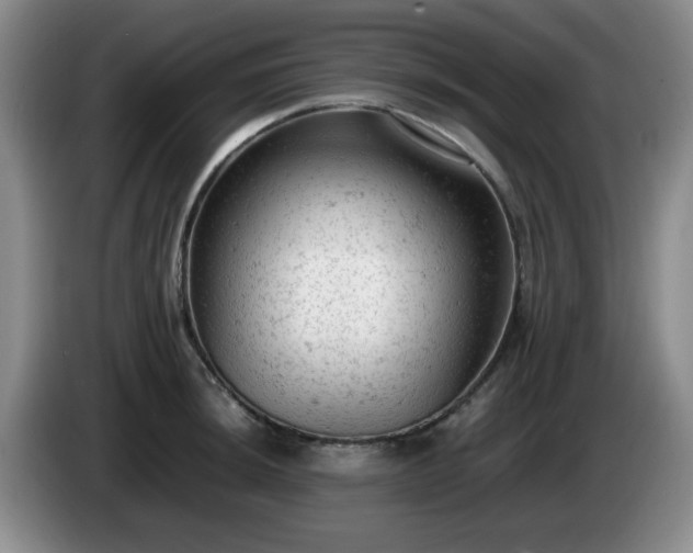 X0000085011044200703121517