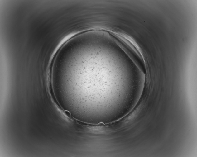 X0000085011048200703121517