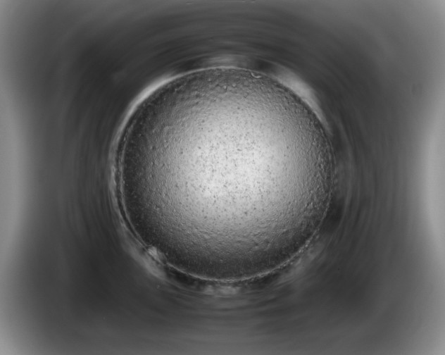 X0000085011051200703121517