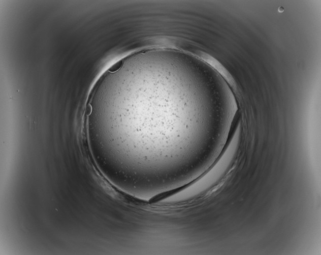 X0000085011052200703121517