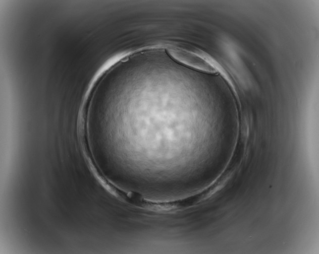 X0000085011053200703121517