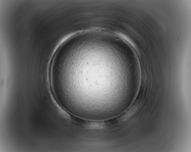 X0000085011055200703121517