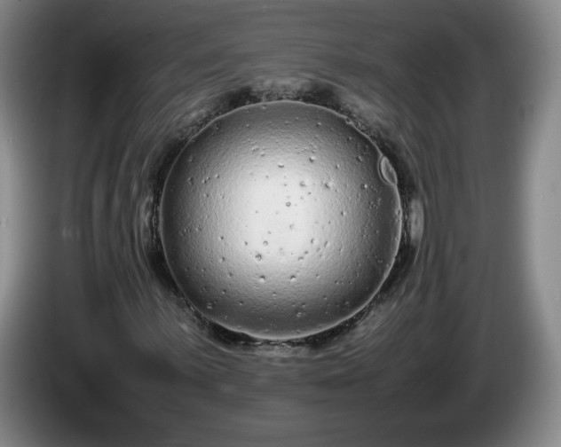 X0000085011059200703121517