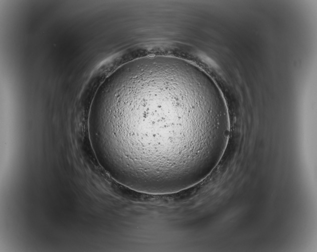 X0000085011063200703121517