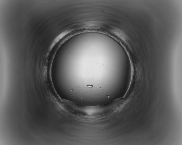 X0000085011066200703121517