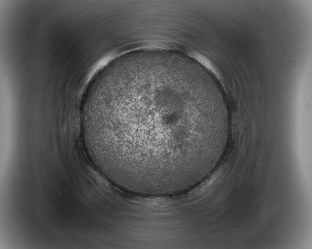 X0000085011067200703121517